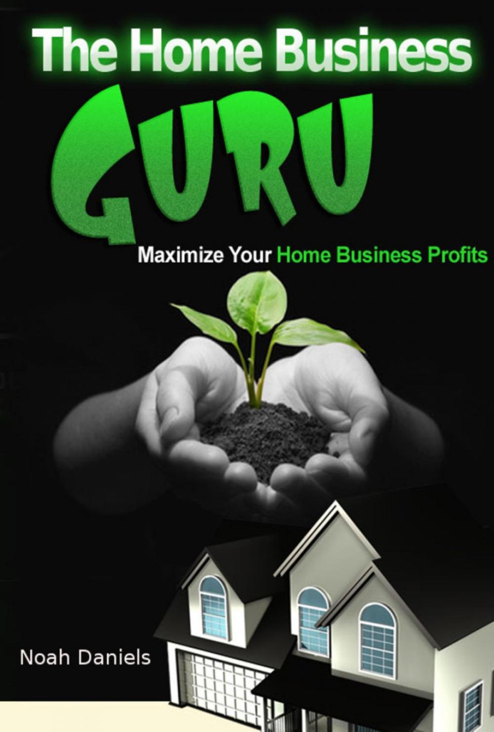 Big bigCover of The Home Business Guru