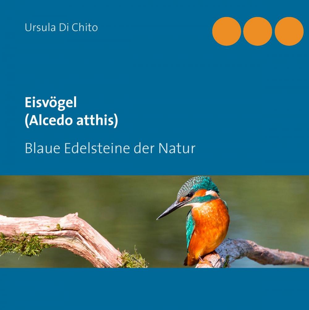 Big bigCover of Eisvögel (Alcedo atthis)