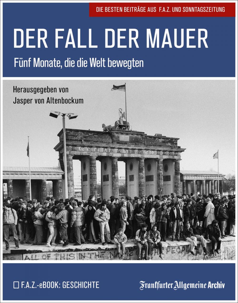 Big bigCover of Der Fall der Mauer