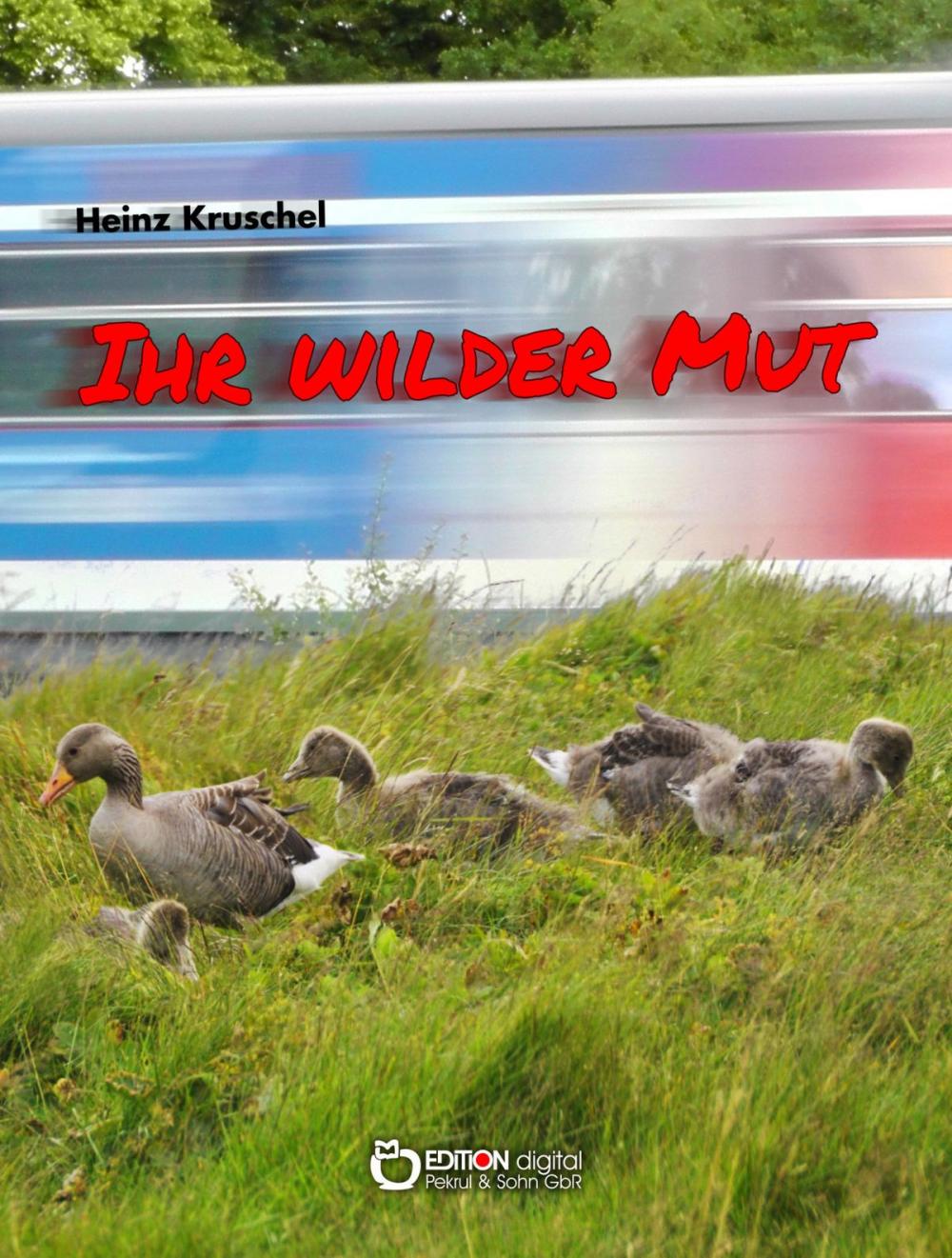 Big bigCover of Ihr wilder Mut