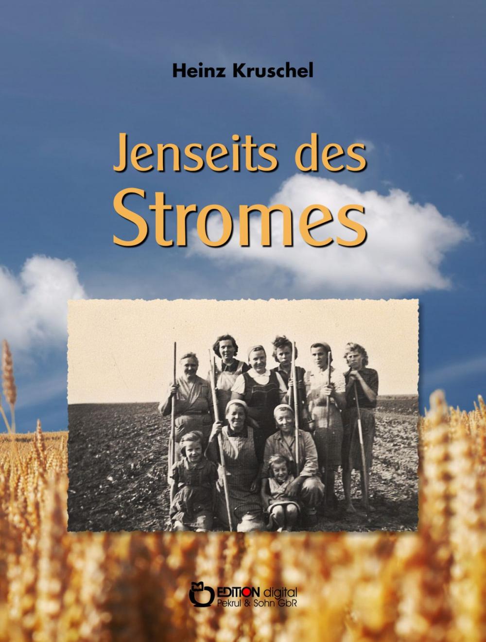 Big bigCover of Jenseits des Stromes