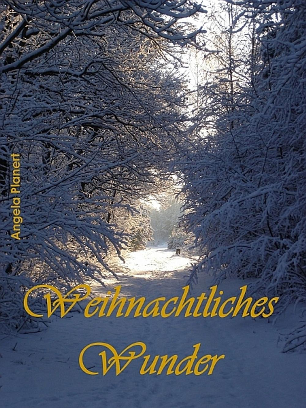 Big bigCover of Weihnachtliches Wunder