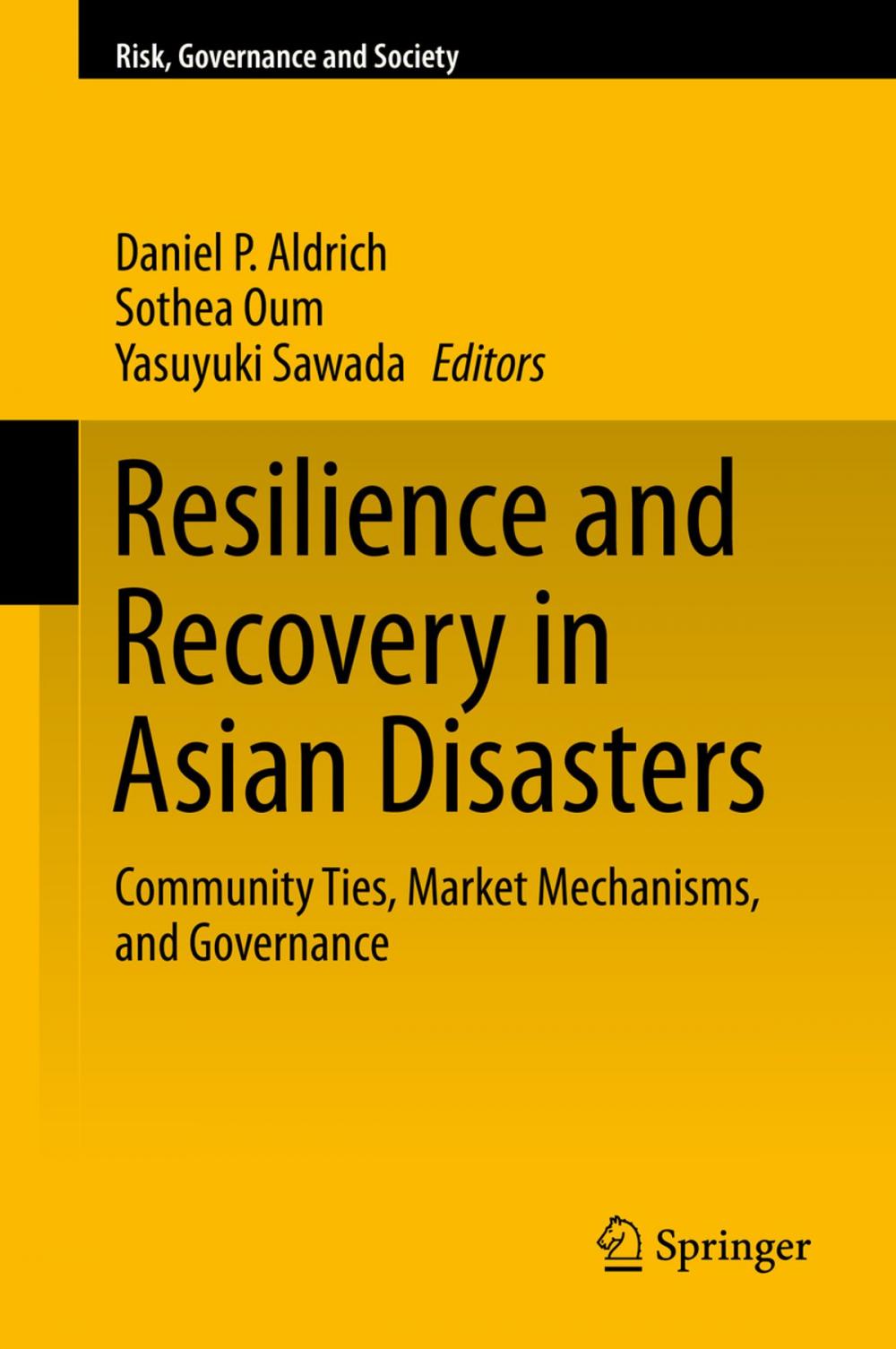 Big bigCover of Resilience and Recovery in Asian Disasters