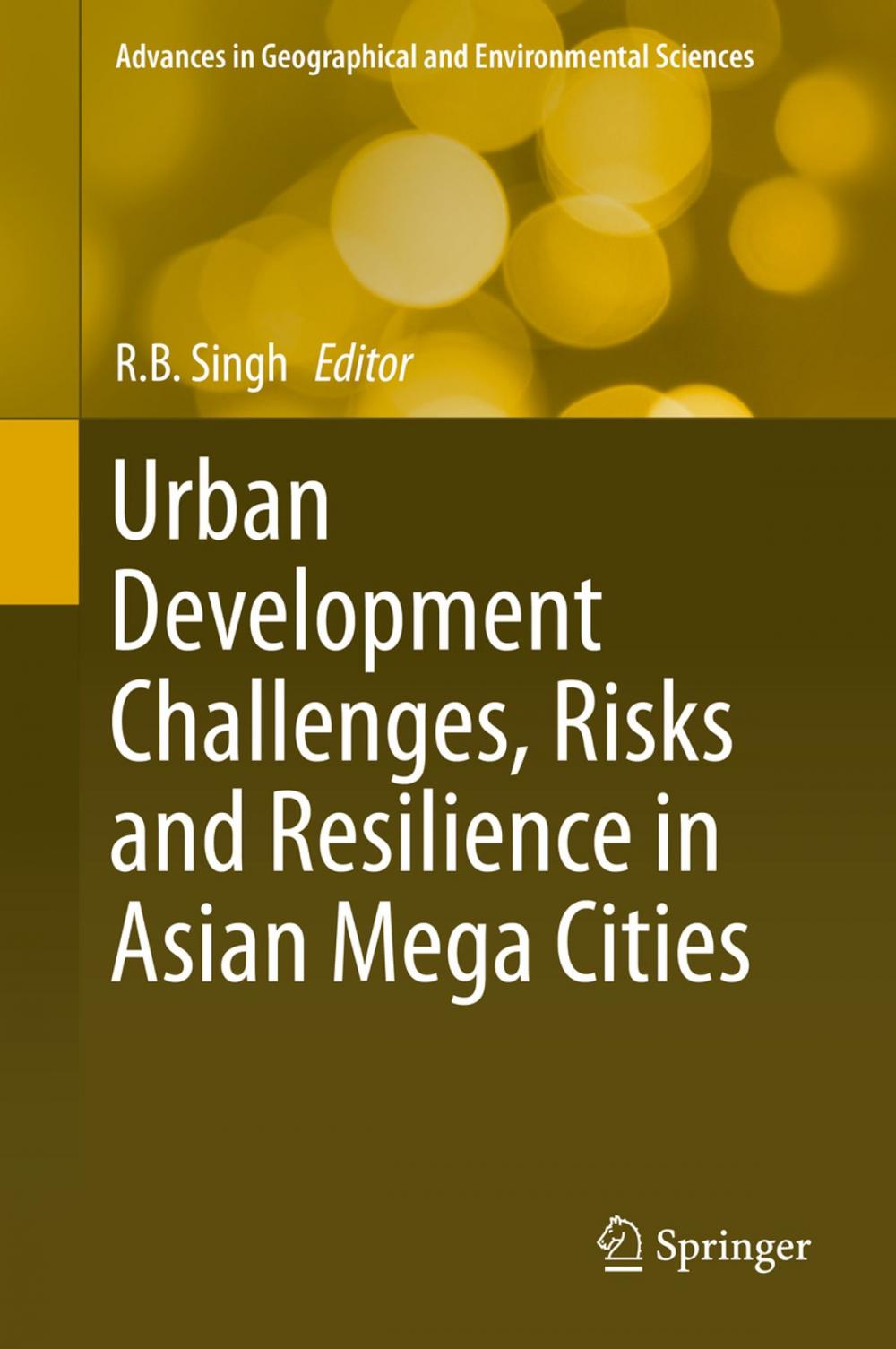 Big bigCover of Urban Development Challenges, Risks and Resilience in Asian Mega Cities