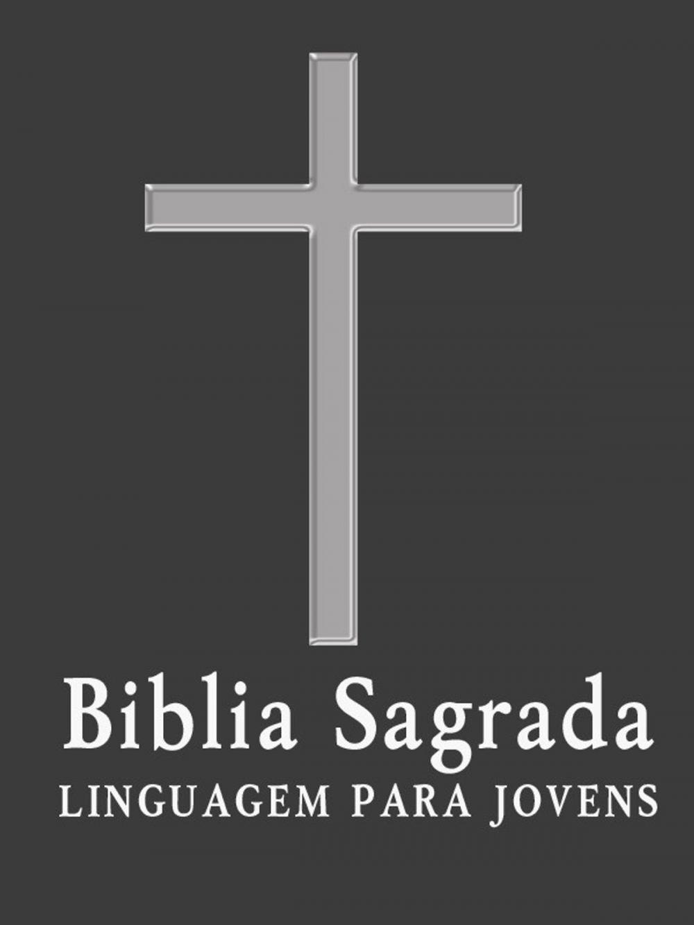 Big bigCover of Biblia Sagrada Completa com indice e TOC