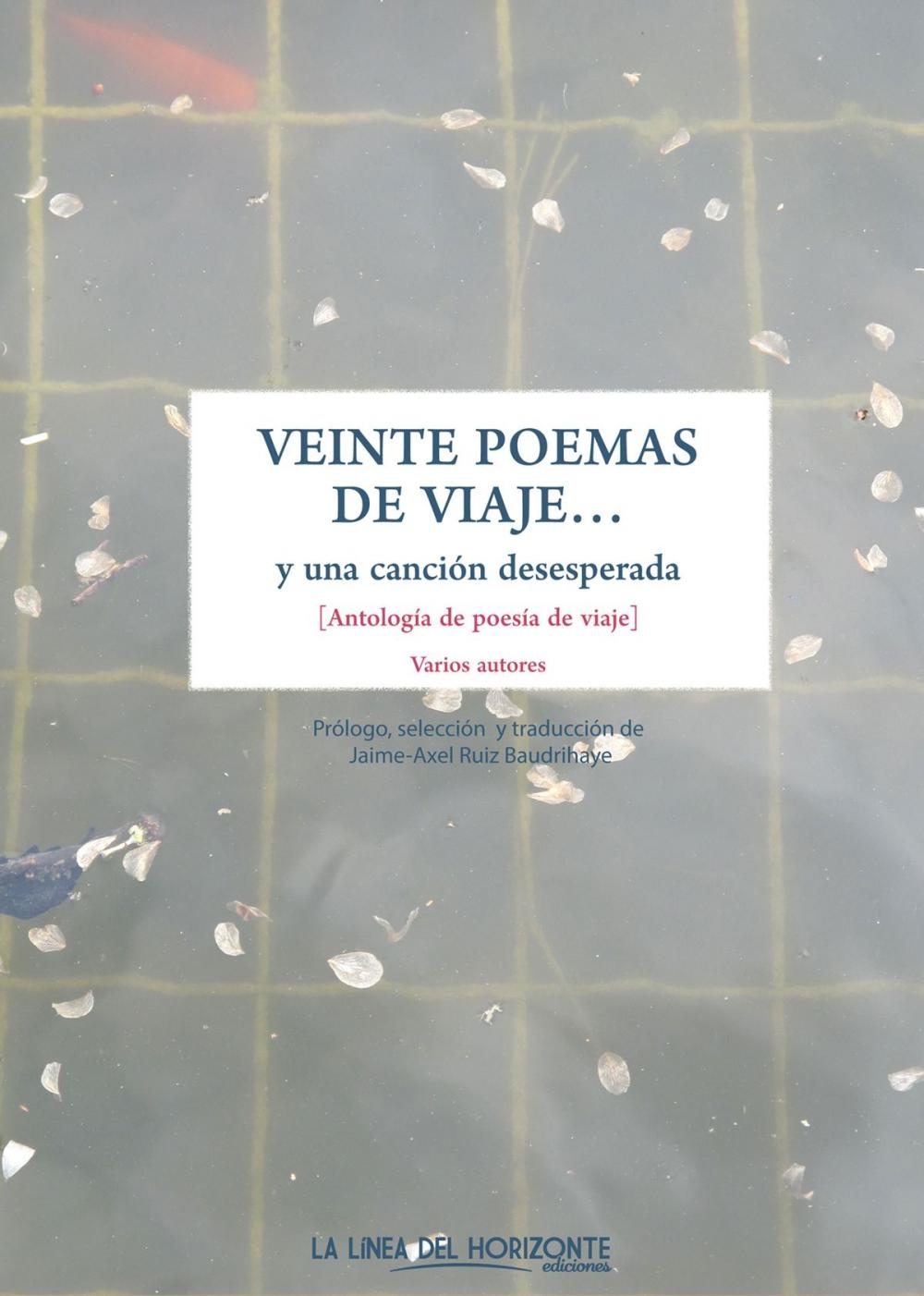 Big bigCover of Veinte poemas de viaje y una canción desesperada