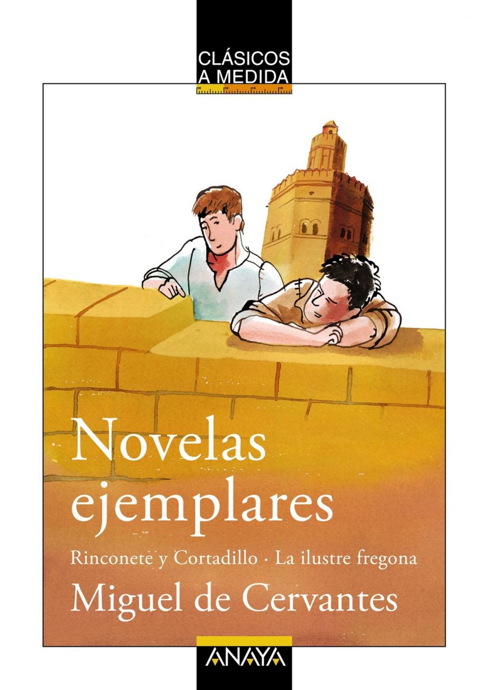 Big bigCover of Novelas ejemplares: Rinconete y Cortadillo / La ilustre fregona