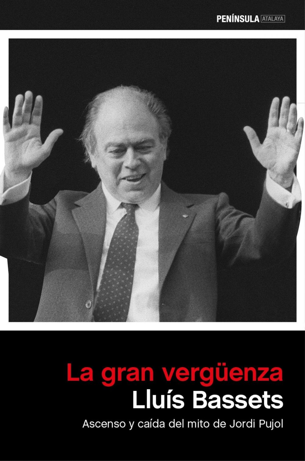 Big bigCover of La gran vergüenza