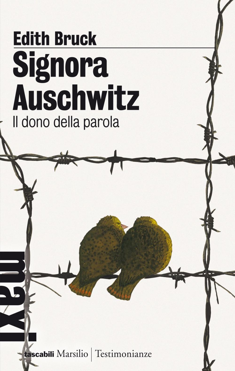 Big bigCover of Signora Auschwitz