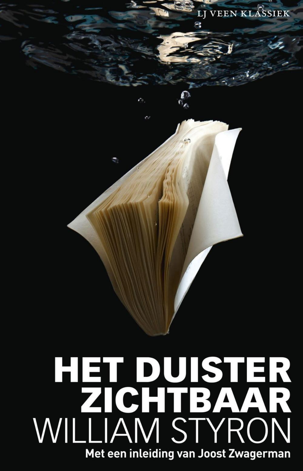 Big bigCover of Het duister zichtbaar