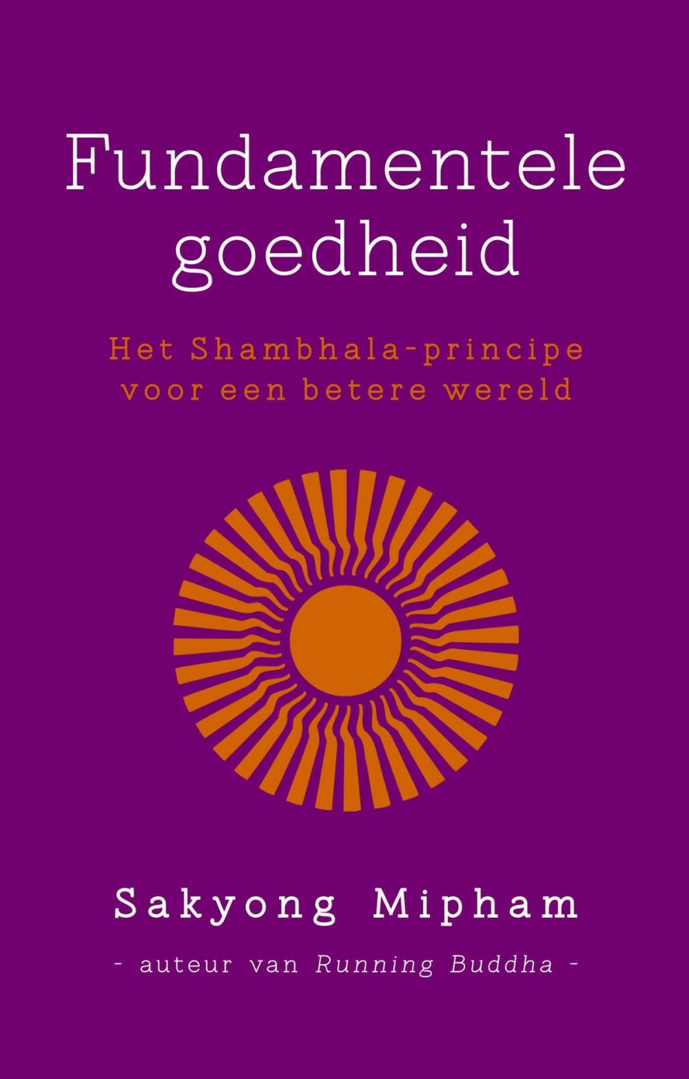 Big bigCover of Fundamentele goedheid