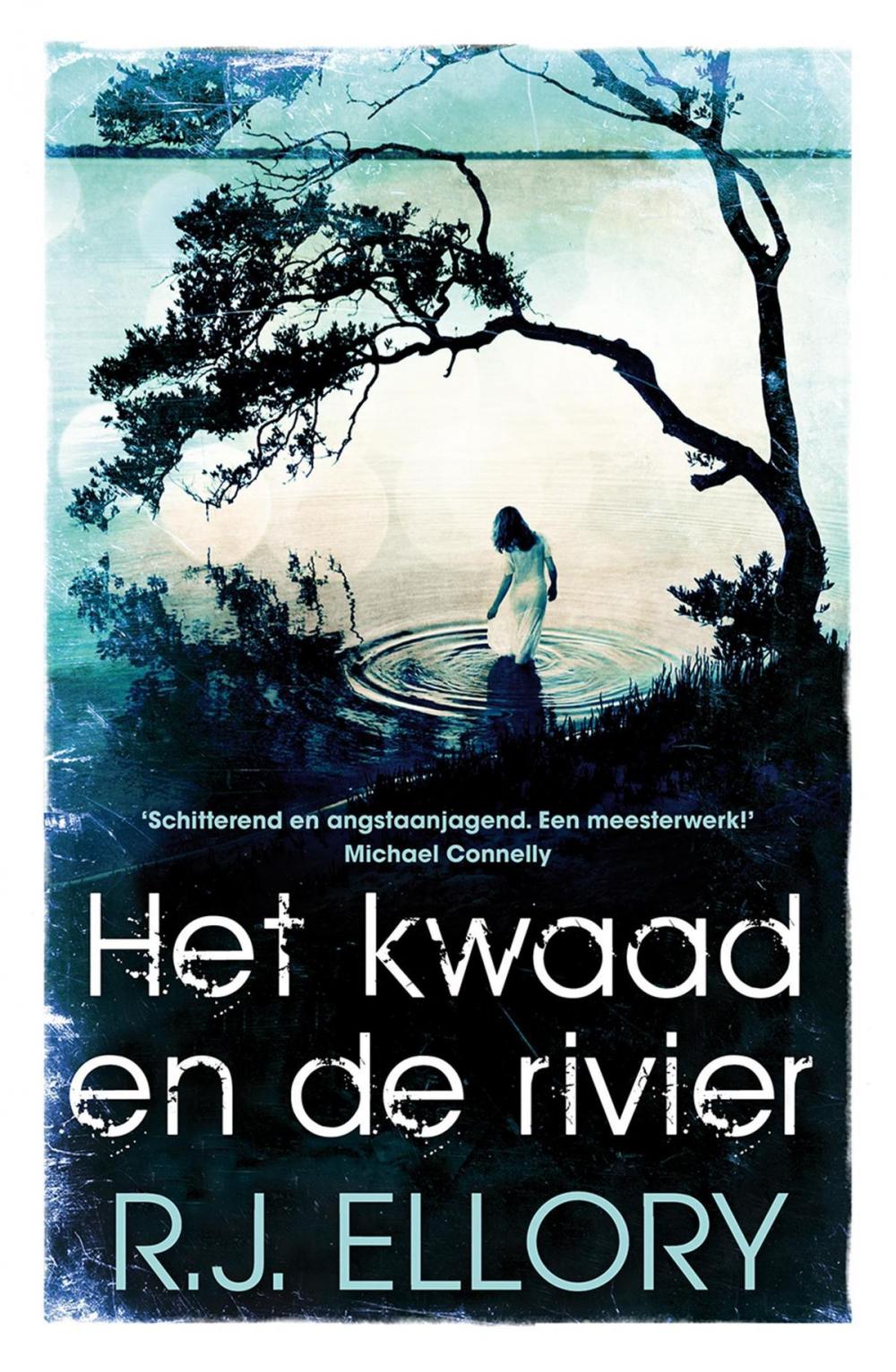 Big bigCover of Het kwaad en de rivier