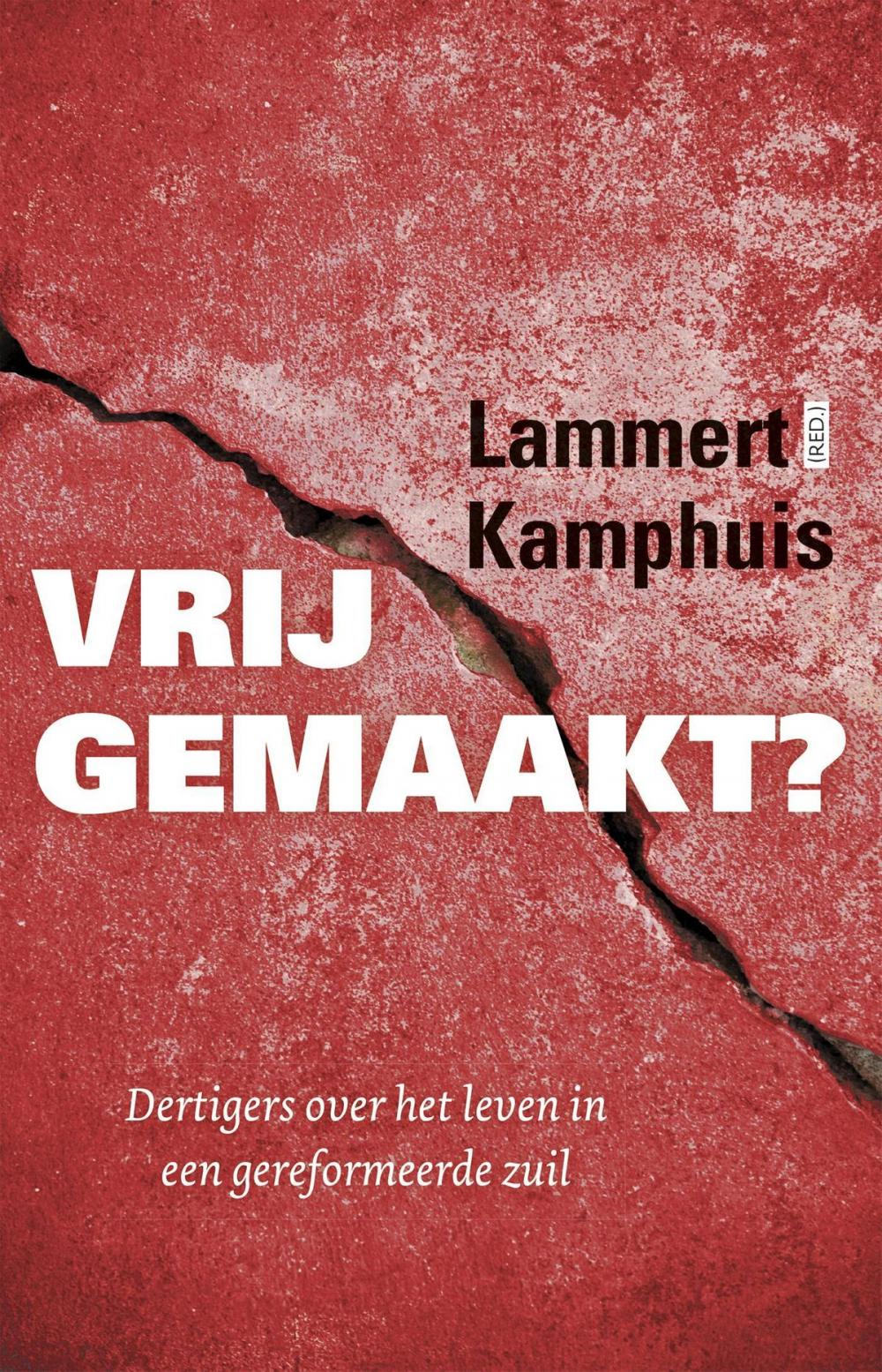 Big bigCover of Vrijgemaakt?