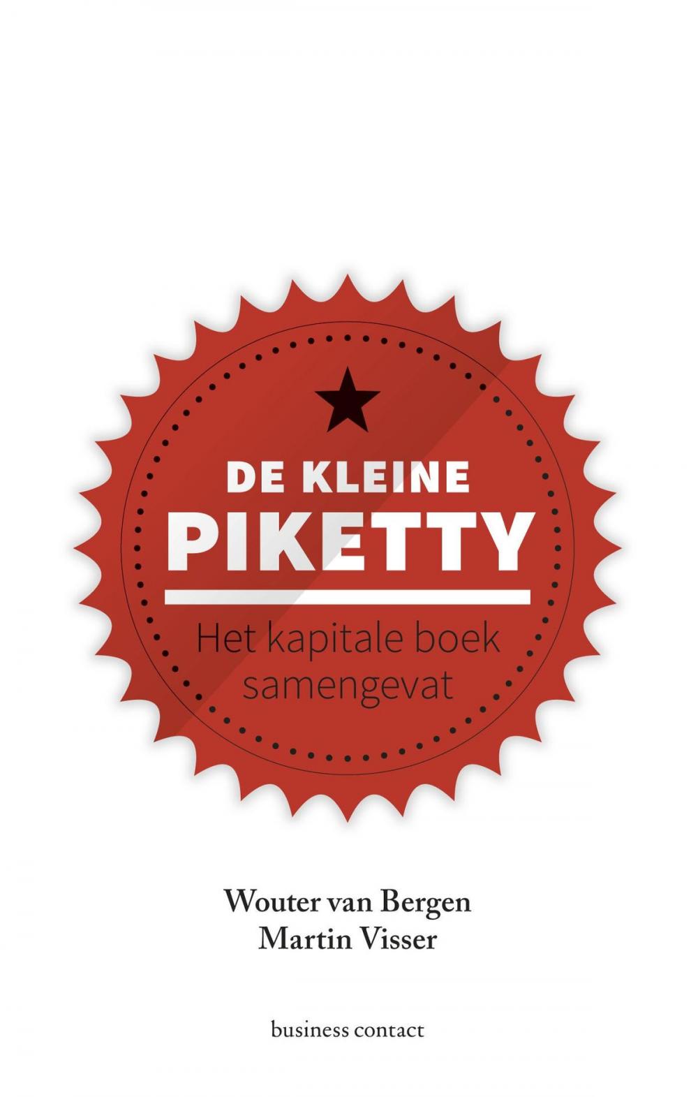 Big bigCover of De kleine Piketty