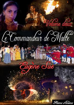 Cover of the book Le Commandeur de Malte by James Palmer