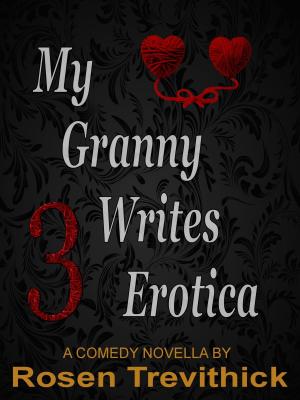 Cover of My Granny Writes Erotica 3 (Bit on the side)