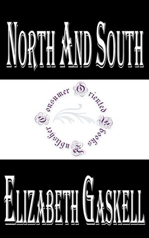 Cover of the book North and South by Jacob Abbott