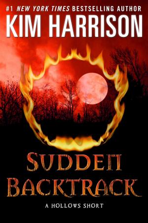 Cover of the book Sudden Backtrack by Hanna Hourani