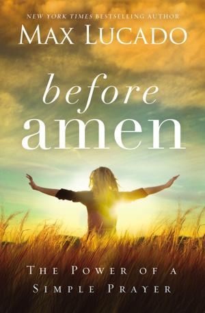 Cover of the book Before Amen by Karen Anderson