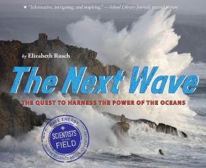 Cover of the book The Next Wave by Lisa Lutz