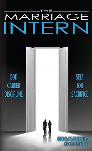Cover of the book The Marriage Intern by Brian Mulipah