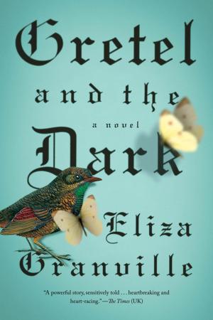 bigCover of the book Gretel and the Dark by 
