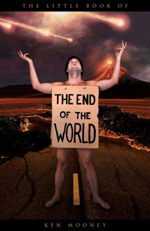 Cover of the book Little Book of the End of the World by Michelle Higgs