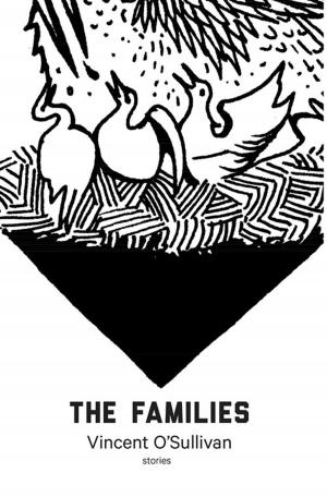 Cover of the book The Families by Damien Wilkins