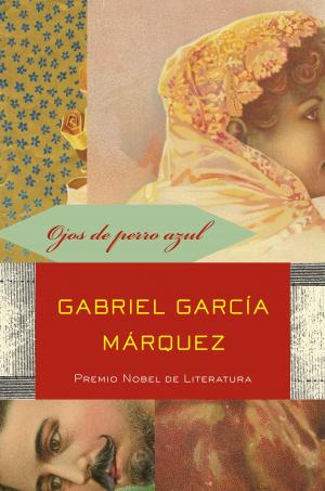 Cover of the book Ojos de perro azul by Manuel Perez