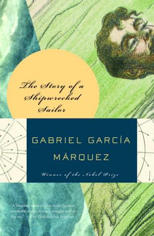 Cover of the book Story of a Shipwrecked Sailor by Deborah Larsen