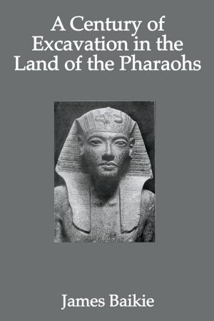 Book cover of Century Of Excavation