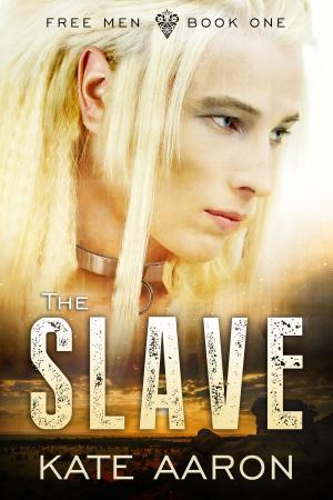 Cover of the book The Slave (Free Men, #1) by Renee Stevens