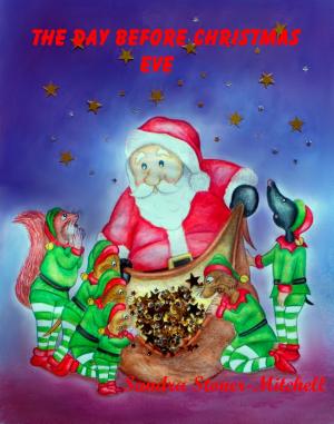Cover of the book The Day Before Christmas Eve by David Chuka