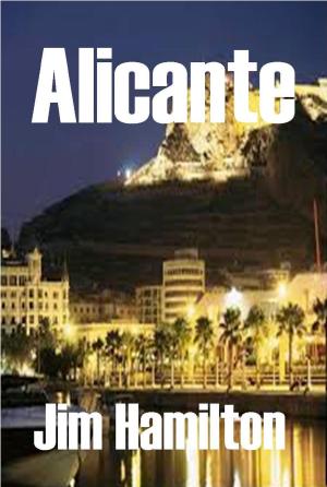 Book cover of Alicante