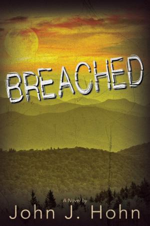 Cover of the book Breached by Marty Steere