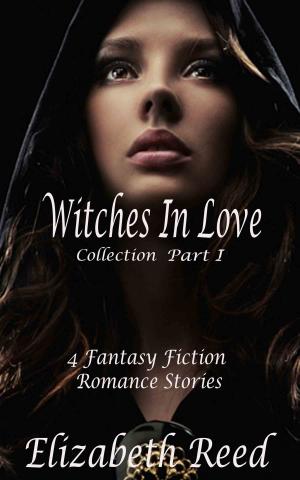 Cover of the book The Witches in Love Collection Part 1: 4 Fantasy Fiction Romance Stories by R.C. Murphy