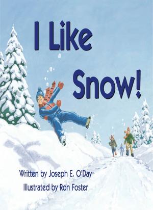 bigCover of the book I Like Snow! by 