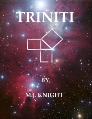 Cover of the book Triniti - Volume I Ebook Version by C.N Chris