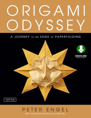 Cover of the book Origami Odyssey by Antonio Ramos Revillas