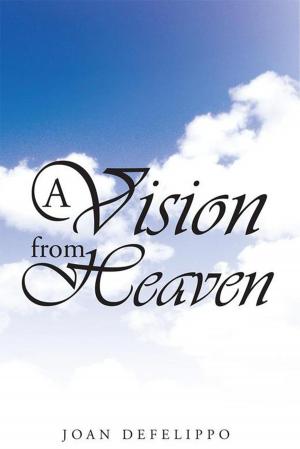 Cover of the book A Vision from Heaven by Michael J. Kurtz PhD