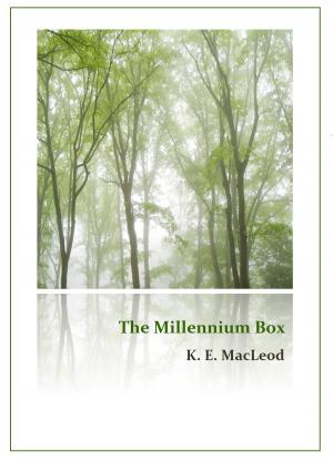 Cover of The Millennium Box