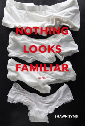 Cover of the book Nothing Looks Familiar by Heidi Andermack, Amy Lynn Brown