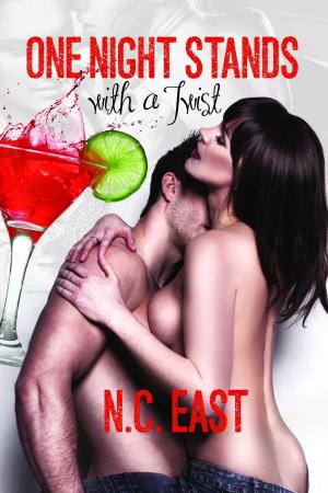 Cover of the book One Night Stands With a Twist by Sarah Winn