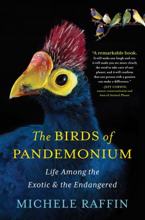 Cover of the book The Birds of Pandemonium by Don Kulick