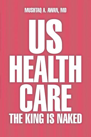 Cover of the book US Health Care by Matthias Schuebel