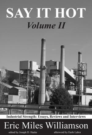 Cover of the book Say It Hot, Volume II: Industrial Strength by J-Mag Guthrie