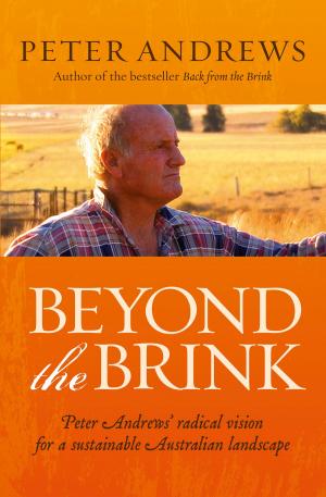 Cover of the book Beyond the Brink by Deborah Locke