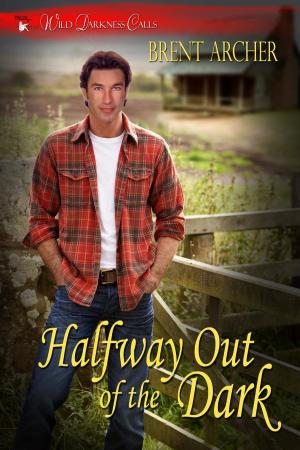 Cover of the book Halfway Out of the Dark by Rick Taliaferro