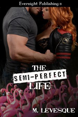 Book cover of The Semi-Perfect Life