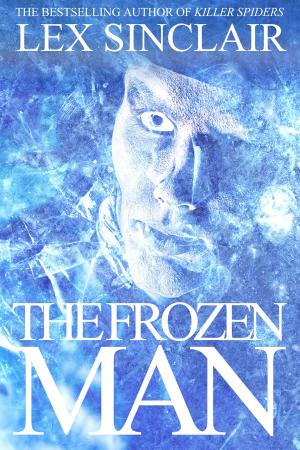 Cover of the book The Frozen Man by Elizabeth Manson Bahr